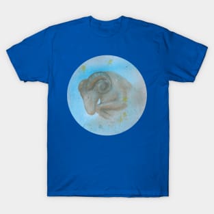 Zodiac sign aries T-Shirt